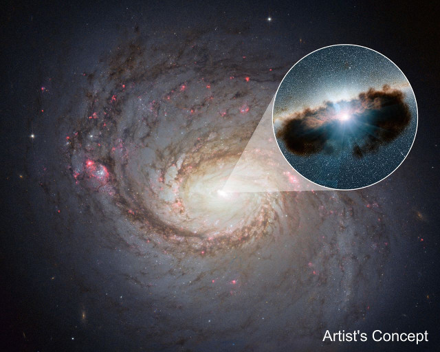 Galaxy NGC 1068 seen by the Hubble Space Telescope. In the circle there's an artist concept of the doughnut of gas and dust surrounding the supermassive black hole at its center (ImageNASA/JPL-Caltech)