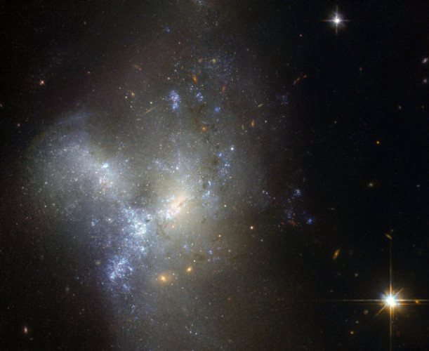 The galaxy NGC 1487 photographed by the Hubble Space Telescope (Image ESA/Hubble & NASA / Judy Schmidt)
