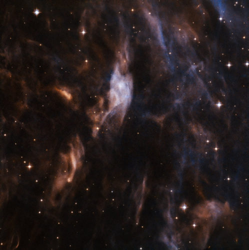 A part of the Sh2-308 nebula (Image ESA/Hubble & NASA)