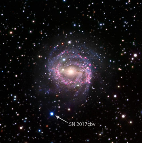 The supernova SN 2017cbv and the galaxy NGC 5643 (Image courtesy B.J. Fulton)