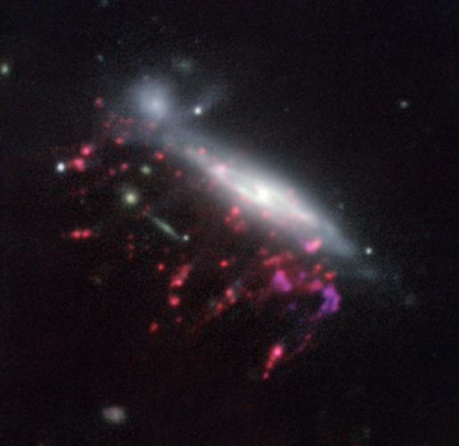 The jellyfish galaxy JO204 (mage ESO/GASP collaboration)