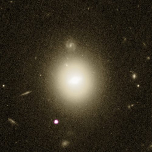 The galaxy galaxy 6dFGS gJ215022.2-055059 and the intermediate-mass black hole candidate