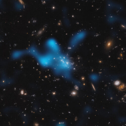 The galaxy protocluster around the Spiderweb Galaxy with gas from the intracluster medium in blue (Image ESO/Di Mascolo et al.; HST: H. Ford)