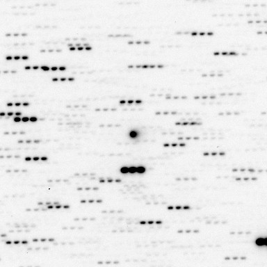 Interstellar comet 3I/ATLAS