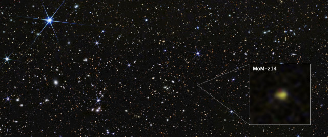 The galaxy MoM-z14 photographed by the James Webb Space Telescope's NIRCam (Near-Infrared Camera) instrument with an image from the so-called COSMOS Legacy Field in the background.