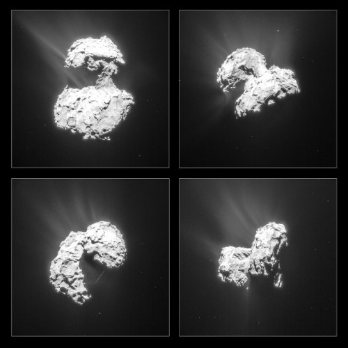 Montage of four pictures of the comet 67P/Churyumov-Gerasimenko taken by the Rosetta space probe's NAVCAM (Image ESA/Rosetta/NAVCAM)