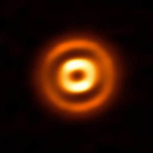 The HD 169142 system (Image ALMA (ESO/NAOJ/NRAO)/ Fedele et al.)