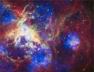An abnormal abundance of massive stars in the Tarantula Nebula