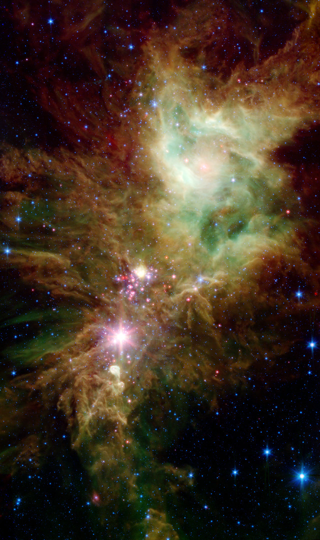 NGC 2264 seen by Spitzer (Image Image Credit: NASA/JPL-Caltech/P.S. Teixeira (Center for Astrophysics))