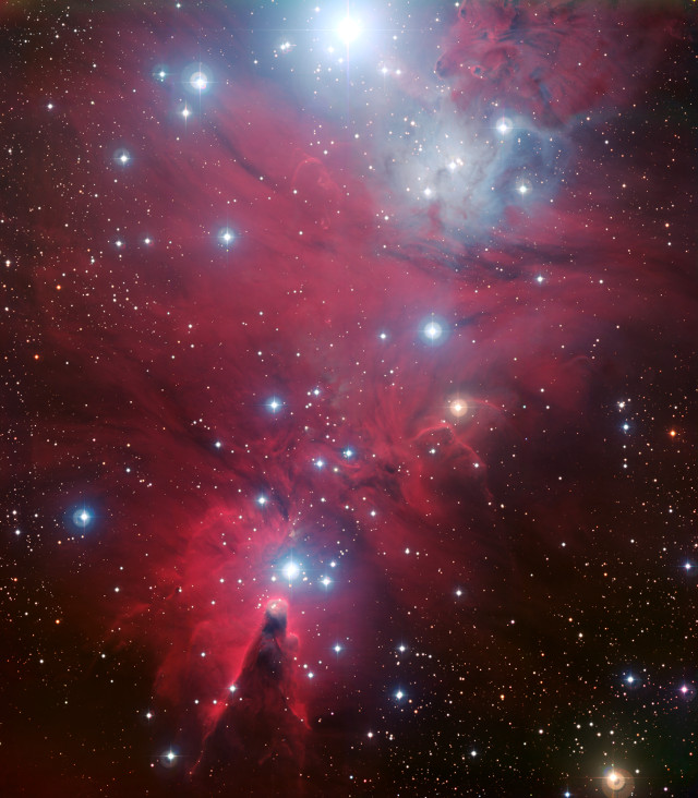 NGC 2264 seen by WFI (Image ESO)