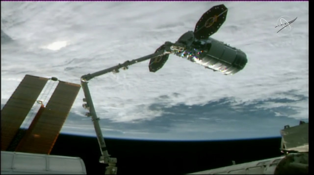 The Cygnus "Robert Lawrence" cargo spacecraft captured by the Canadarm2 robotic arm (Image NASA TV)