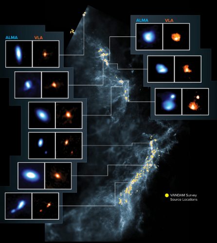 Protostars in the Orion Complex
