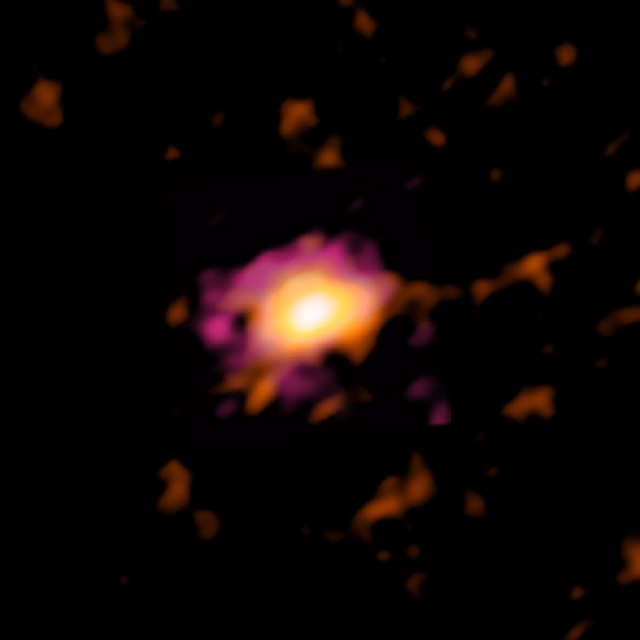 Wolfe Disk seen by ALMA