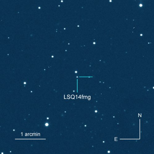 LSQ14fmg (Image courtesy Hsiao et al)