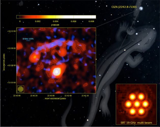 The radio relice in the galaxy cluster CIZA J2242.8+5301