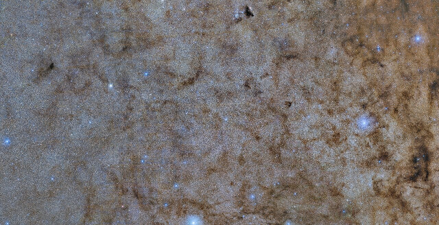 The Milky Way's bulge (Image CTIO/NOIRLab/DOE/NSF/AURA. Image processing: W. Clarkson (UM-Dearborn), C. Johnson (STScI), and M. Rich (UCLA), Travis Rector (University of Alaska Anchorage), Mahdi Zamani & Davide de Martin.)