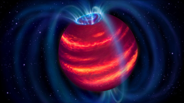 Artist's concept of the brown dwarf BDR J1750+3809 with its magnetic field and aurorae (Image ASTRON/Danielle Futselaar)
