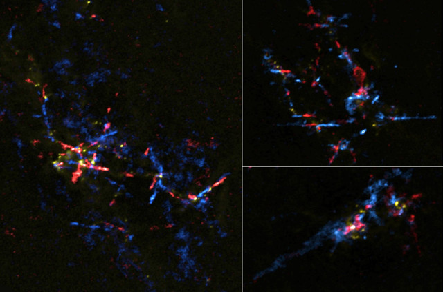 Some outflows indicating an origin from protostars
