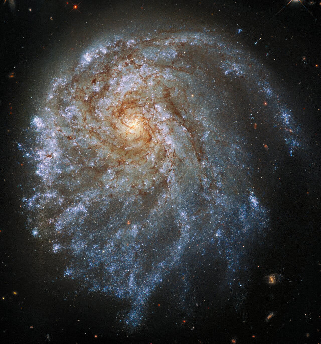 The galaxy NGC 2276 (Image ESA/Hubble & NASA, P. Sell. Acknowledgement: L. Shatz)