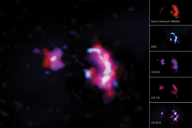 Water and carbon monoxide in the galaxy SPT0311-58 as seen by the ALMA radio telescope