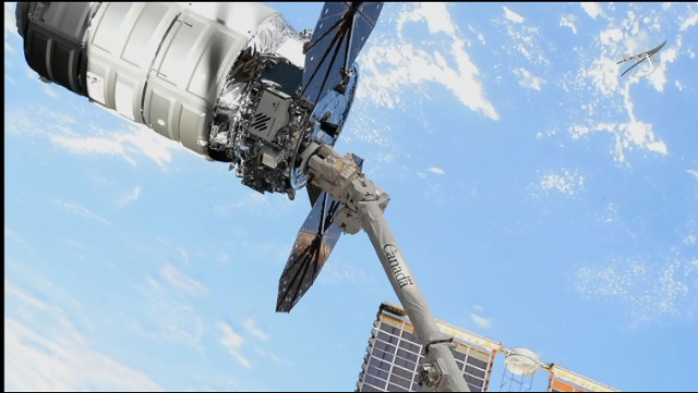 The Cygnus S.S. Piers Sellers cargo spacecraft captured by the Canadarm2 robotic arm (Image NASA TV)