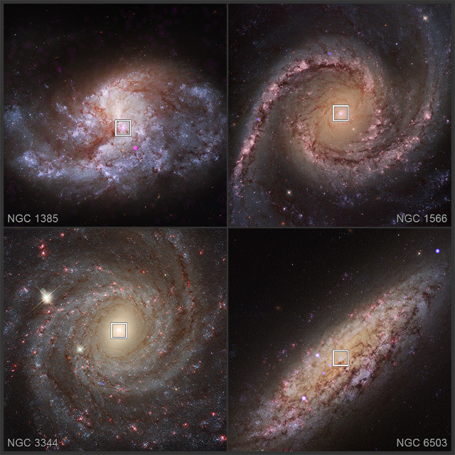 The galaxies NGC 1385, NGC 1566, NGC 3344, and NGC 6503