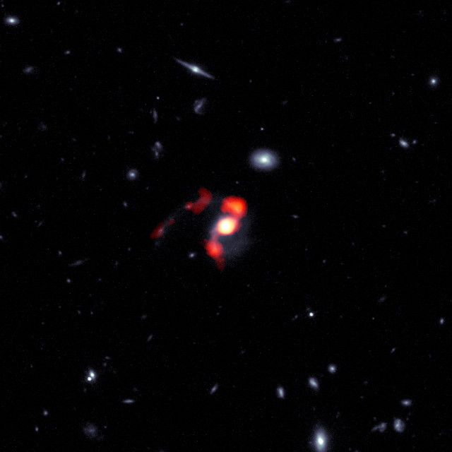 Combined view of the galaxy SDSS J1448+1010 seen by ALMA and Hubble (Image ALMA (ESO/NAOJ/NRAO), J. Spilker et al (Texas A&M), S. Dagnello (NRAO/AUI/NSF))