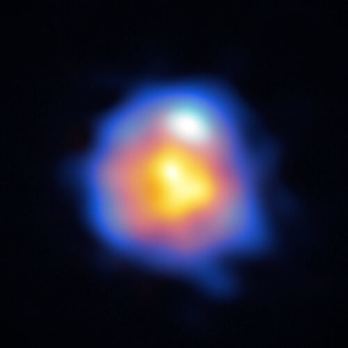 The star R Leporis as seen by the ALMA radio telescope