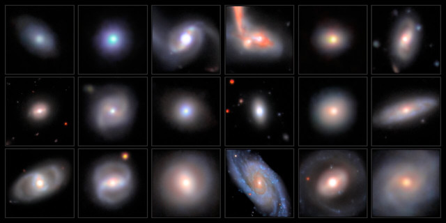 Mosaic of Intermediate Black Hole Candidates