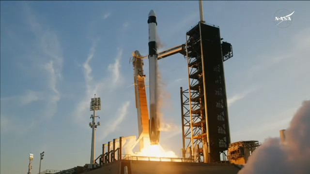 The Crew Dragon Endurance spacecraft blasting off atop a Falcon 9 rocket to start the Crew-10 mission (Image NASA)